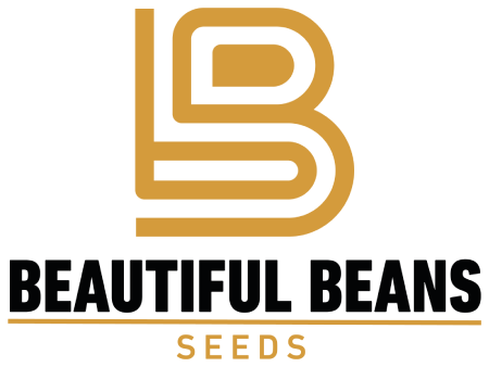 Beautiful Beans Seeds